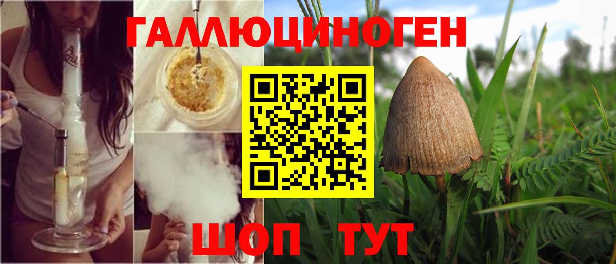 Псилоцибиновые грибы Magic Shrooms  Вход с VPN  Кудрово  Псилоцибиновые грибы мицелий 